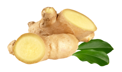 Ginger Root with Leaves on Transparent PNG Background