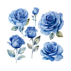 blue rose flower set, watercolor vector illustration, isolated on white background