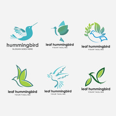 abstract colorful hummingbird vector line art, colibri wall art design, minimal bird line logo icon illustration isolated on white background