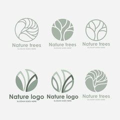 Tropical plant Logo set. Round floral emblem in circle n linear style. Vector abstract badge for design of natural products, flower shop, cosmetics, ecology concept, wellness, spa, yoga Center.