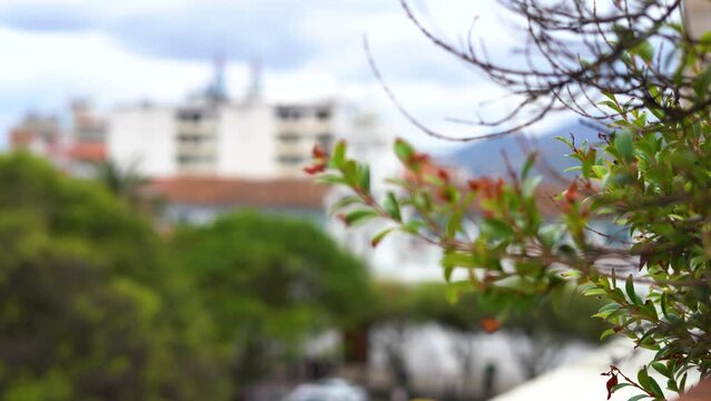 Catedral vieja de Cuenca Ecuador