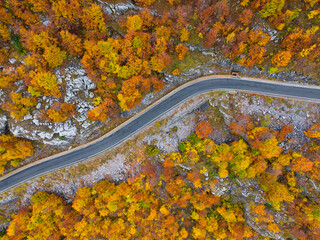 Mountain Road  through Thethi National Park in northern Albania showing the magnificent colors of Autumn. 