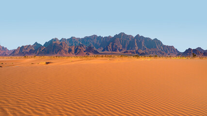 Fototapeta na wymiar Panoramic view of orange sand dune desert with clear blue sky at Namib desert - Namibia