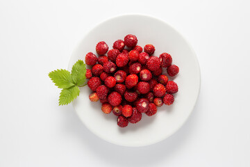 wild strawberries on a white plate