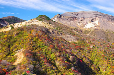 秋の駒草平（宮城県蔵王町）