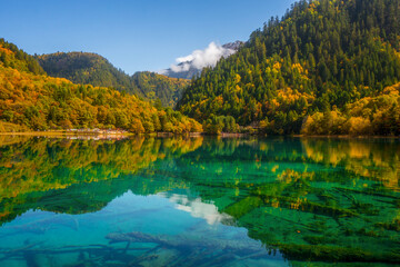 Jiuzhaigou and Five Flower Lake , Unesco national park during autumn in Ngawa Tibetan and Qiang in Sichuan , China : 17 October 2023