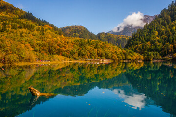 Fototapeta na wymiar Jiuzhaigou and Five Flower Lake , Unesco national park during autumn in Ngawa Tibetan and Qiang in Sichuan , China : 17 October 2023