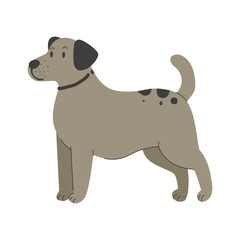 flat illustration of dog animals