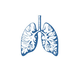 lungs vector icon in blue color