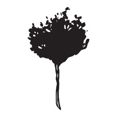 Hand-drawn ink vector. Sketch of a mandarin tree. Logo concept. Outline of an Italian flora. A garden and urban feature. Architectural exterior. Perfect for prints and logos
