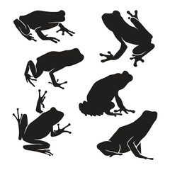 illustration silhouette frog on a white