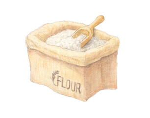 小麦粉　水彩色鉛筆アナログイラスト
