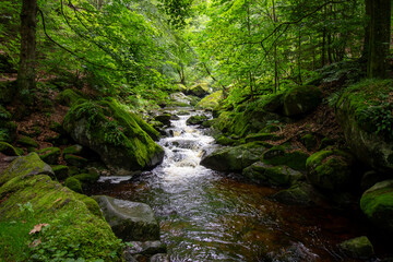 Fototapeta premium Small waterfall in deep forest covered with green trees. Amazing landscape with a small waterfall in a forest with stone 