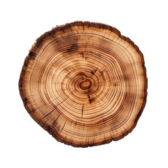 Cross section of tree trunk isolated on white transparent background, PNG