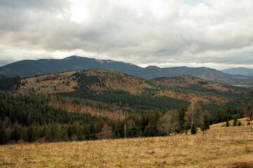 Golden autumn in the Carpathians. Mining arrays combined with trees with yellow leaves. Beautiful clouds and sun