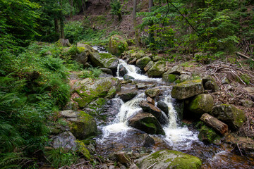 Small waterfall in deep forest covered with green trees. Amazing landscape with a small waterfall in a forest with stone 