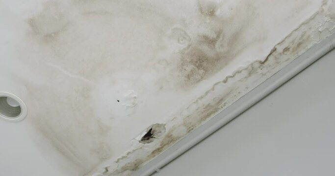 Ceiling panels with fungus outside house from water pipes damaged or rainy leaked. Office building or house problem for house service.