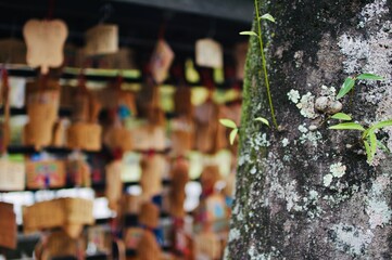 神社の境内のイメージ