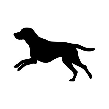 Running Labrador Retriever vector silhouette