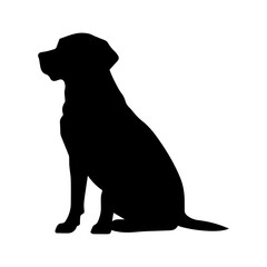 Sitting Labrador Retriever vector silhouette