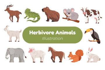 adorable herbivore animal illustration