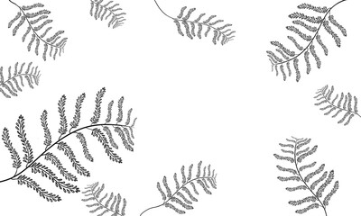 black sketch on a white background, a picture of several plants and leaves that frame it