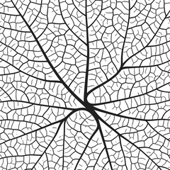 Obraz premium Leaf vein texture abstract background with close up plant leaf cells ornament texture pattern. Black and white organic macro linear pattern of nature leaf foliage vector illustration.