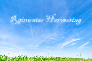 Rainwater Harvesting: Collecting and storing rainwater for various uses, reducing pressure on...