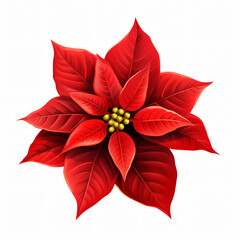 Poinsettia Flower Clipart isolated on white background