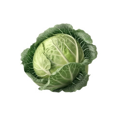 Fototapeta premium Cabbage, Generative AI
