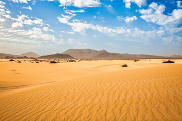 Fototapeta na wymiar landscape of sandy desert with sparse vegetation and mountains on the horizon