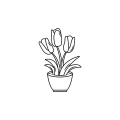 coloring book big tulips black and white