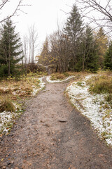 Fototapeta premium Wanderweg mit etwas Schnee am Rand