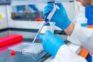 Scientist pipetting medical samples into microplate in laboratory