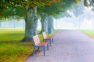Tranquil, restful park bench in nature environment, calm and peaceful.