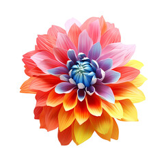 3d style colourful flower isolated on transparent background