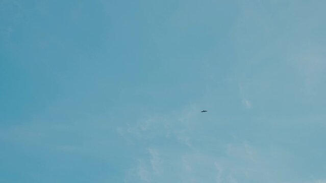 Large predator soaring high in the sky in search of prey. Bird of prey flies in the sky, copy space