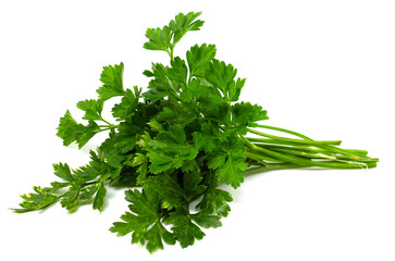 A bunch of parsley isolated on a white background. Fresh herbs for cooking.