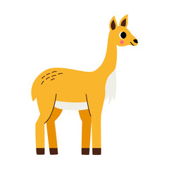 Vector illustration of cute cartoon vicuna isolated on white background.