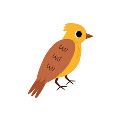 Vector illustration of cute yellowhammer bird isolated on white background.
