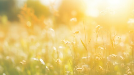 light sun blur texture sunlit illustration red overlay, landscape bokeh, photography beautiful light sun blur texture sunlit