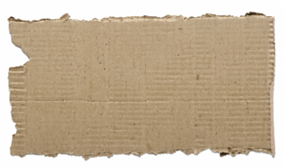 a piece of torn cardboard uneven edge white background.