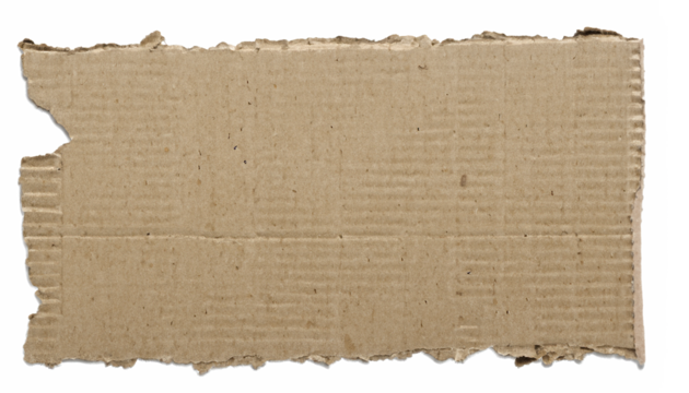 a piece of torn cardboard uneven edge white background.