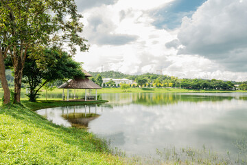 landscape with lake and trees