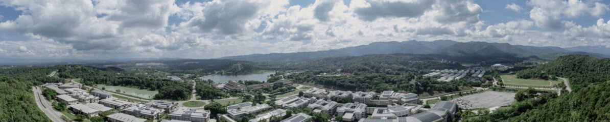 panorama of the forest