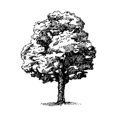 Hand drawn sketch ecology vector isolated illustration © pim