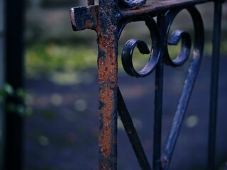 Rusty wrought iron fence 