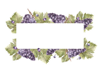 Watercolor rectangular frame, bunch of blue grapes leaves and grape berry. Grapevine label hand painted illustration for card, wine list, invitation, restaurant, bar print Isolated on white background