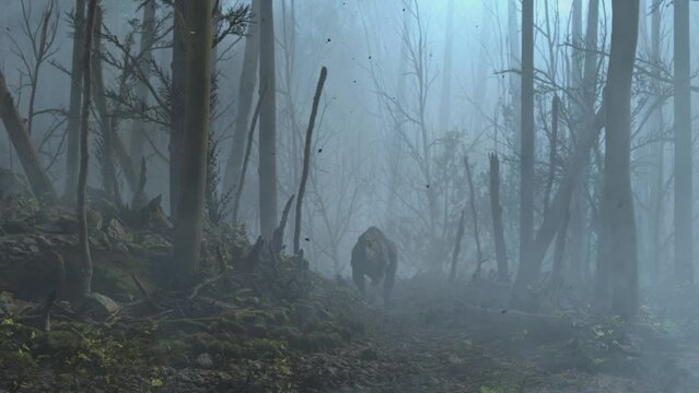 Scary Dinosaur silhouette approach in spooky foggy woods, fall season