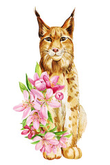 Animal, forest lynx in pink apple flowers. Watercolor Isolated illustration. Postcard, poster